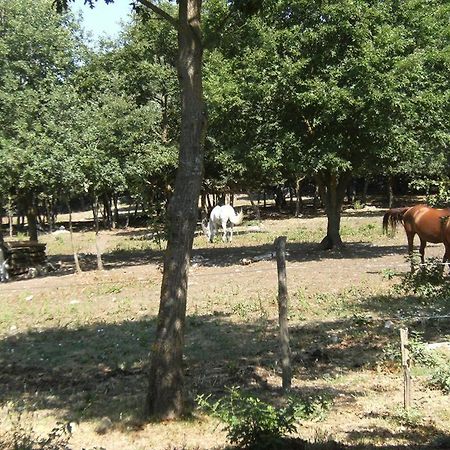 Difenza Cappella Villa San Giuliano del Sannio Bagian luar foto